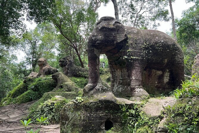 Full Day Tour Photography in Siem Reap - Ta Prohm: the tree roots that turn ruins into a scene
