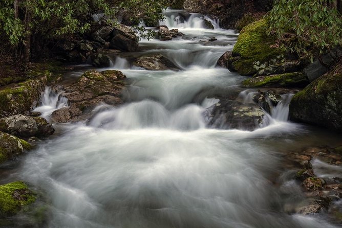Full-Day Tour With Instruction in Vistas & Waterfall Photography - A 7:00 am launch from Ingles Markets in Mills River