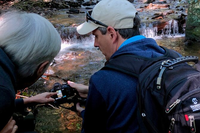 Full-Day Tour With Instruction in Vistas & Waterfall Photography - Pisgah National Forest: your first big scene-setter