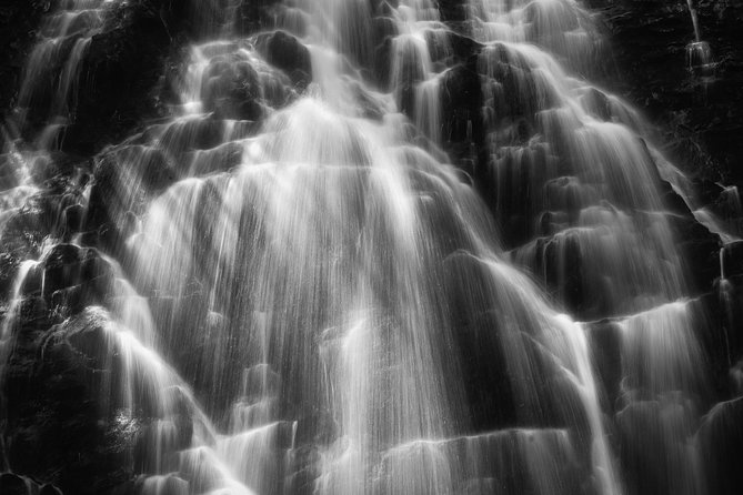 Full-Day Tour With Instruction in Vistas & Waterfall Photography - How the day builds from vistas to waterfalls and forest scenes