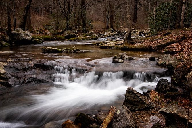 Full-Day Tour With Instruction in Vistas & Waterfall Photography - Timing, pace, and the value of the picnic break
