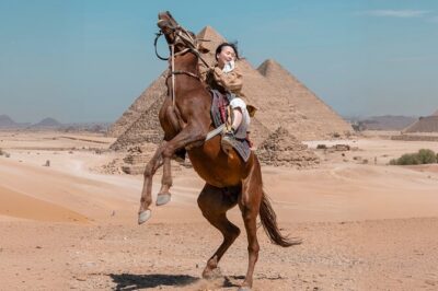 Giza Pyramids Photoshoot with Jumping Horse, Camel and Sphinx - Getting to Giza: private pickup, mobile ticket, and a calmer start
