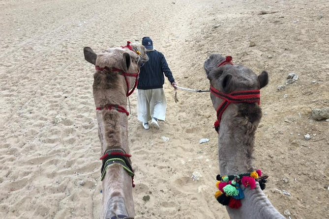 Giza Pyramids Sphinx Camel Ride Lunch with Camera Photographer - Camera Photographer: What to Confirm Before You Trust the Name
