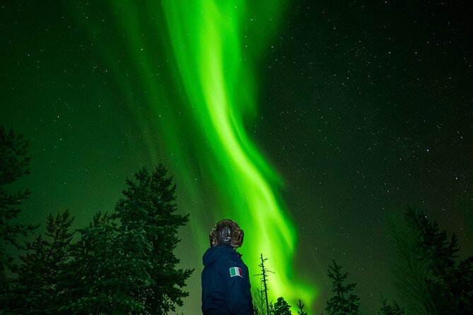 Go on a Northern Lights Photography Tour - Small Group by minivan - Key highlights you’ll actually feel on this tour