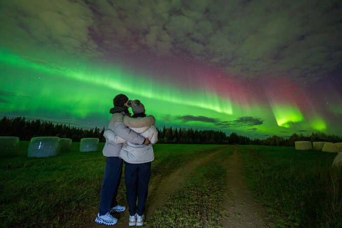 Go on a Northern Lights Photography Tour - Small Group by minivan - Price and what $180.22 gets you (and why it can be good value)
