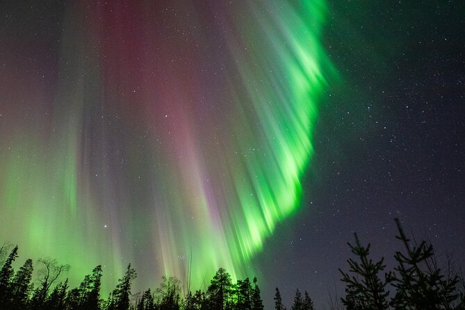 Go on a Northern Lights Photography Tour - Small Group by minivan - When the aurora looks pale: your photos may still be worth it