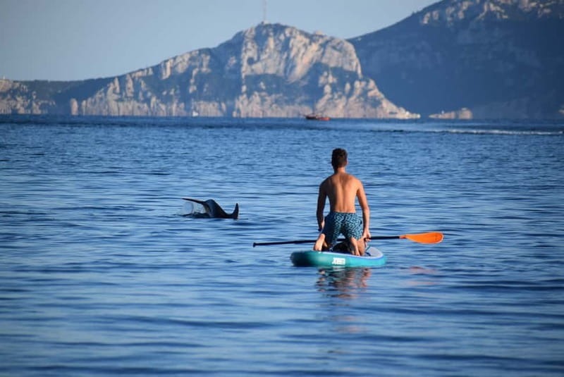 Golfo Aranci: Sup with dolphins, aperitif & photo shoot - SUP + dolphins in Golfo Aranci: the part that feels special