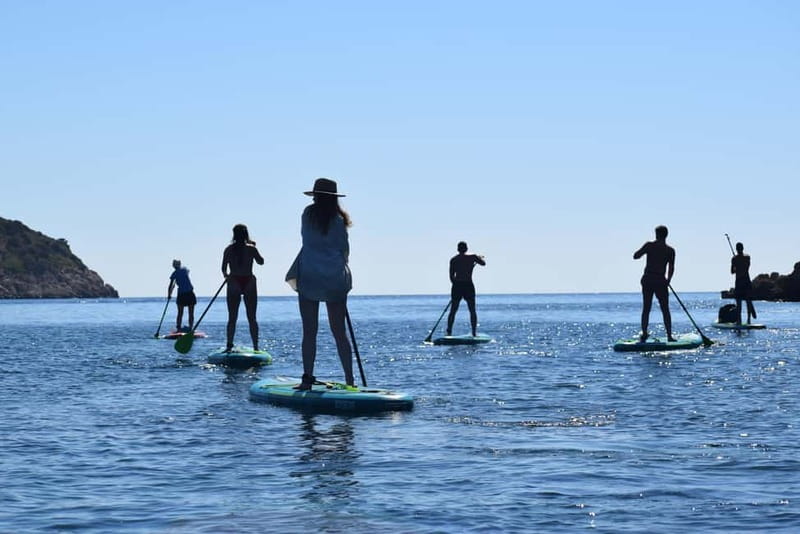 Golfo Aranci: Sup with dolphins, aperitif & photo shoot - Dolphin watching: what to expect, and what you can control