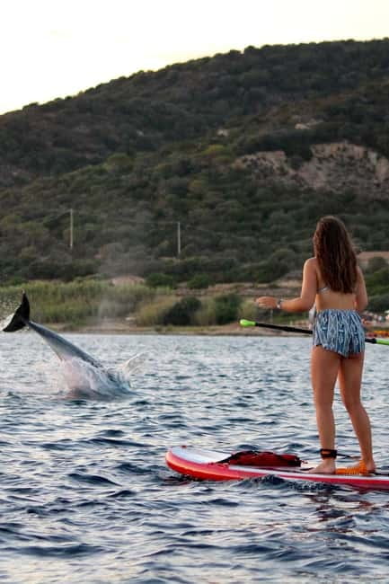 Golfo Aranci: Sup with dolphins, aperitif & photo shoot - How long is it, and does it feel rushed