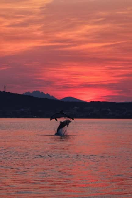 Golfo Aranci: Sup with dolphins, aperitif & photo shoot - Who this tour is best for (and who should skip it)