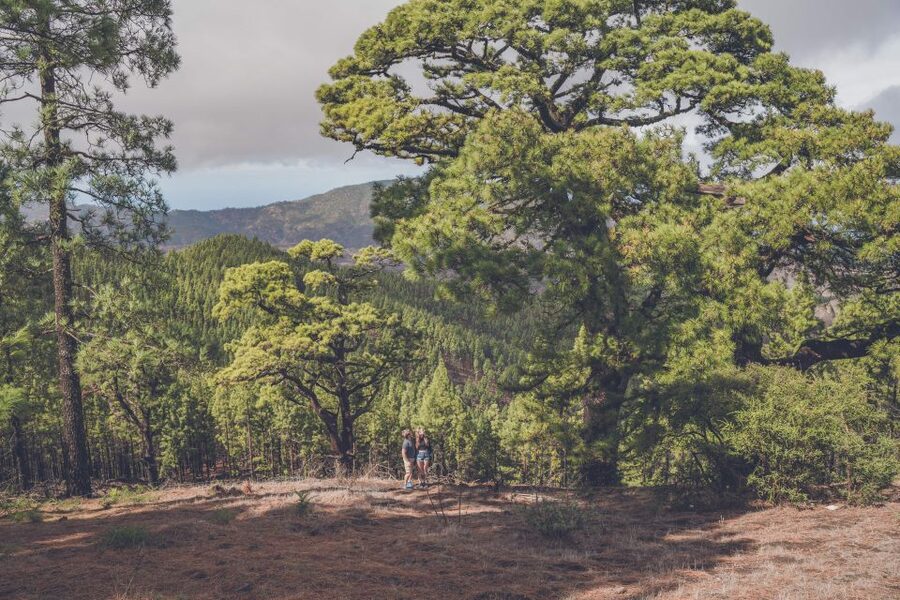 Gran Canaria: Full-Day Customizable Private Photography Tour - What the photographer actually changes in your photos