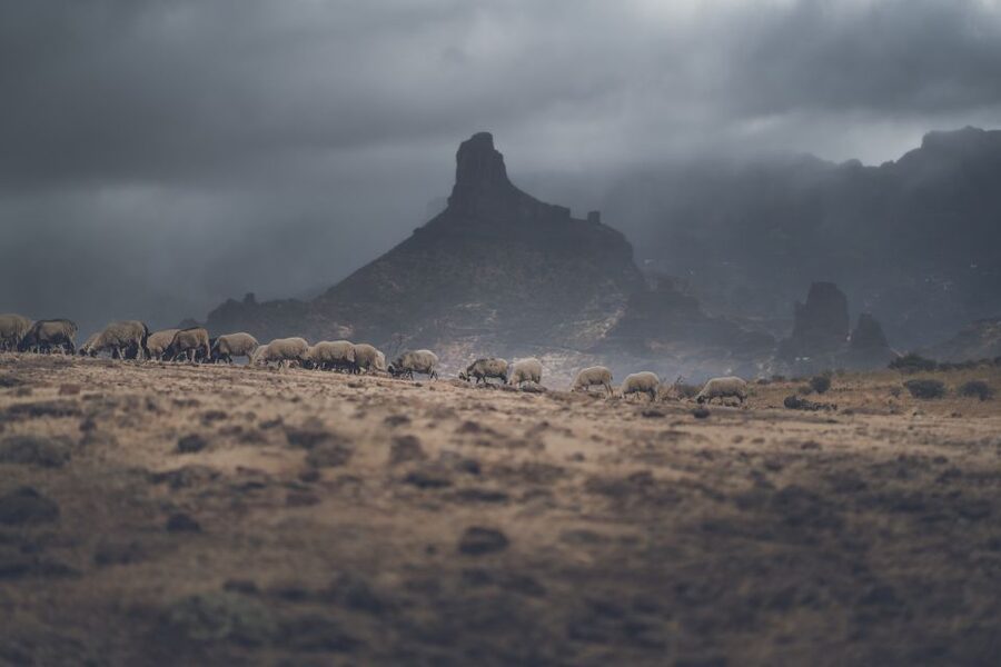 Gran Canaria: Full-Day Customizable Private Photography Tour - Starting with pickup: less stress, more light hours
