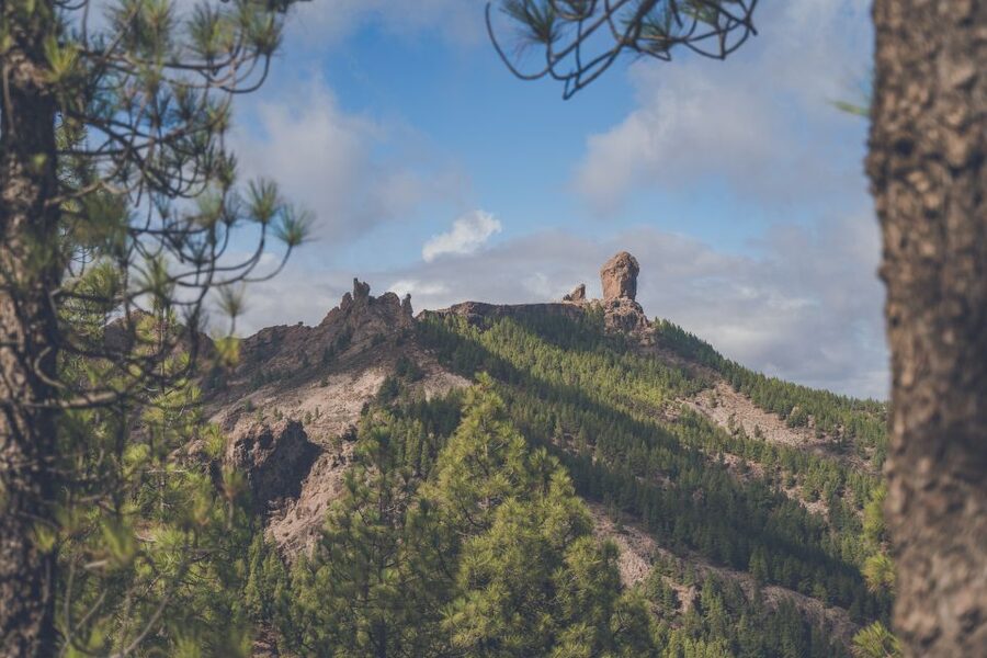 Gran Canaria: Full-Day Customizable Private Photography Tour - Lunch options: a cave restaurant if you want the wow-factor meal