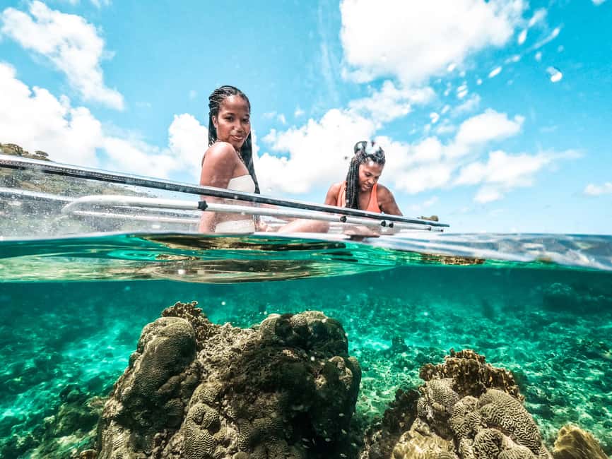 Grenada: Clear Kayak Tour with Drone Photoshoot - Clear Kayaking on Grenada’s Reef: What the Water Looks Like