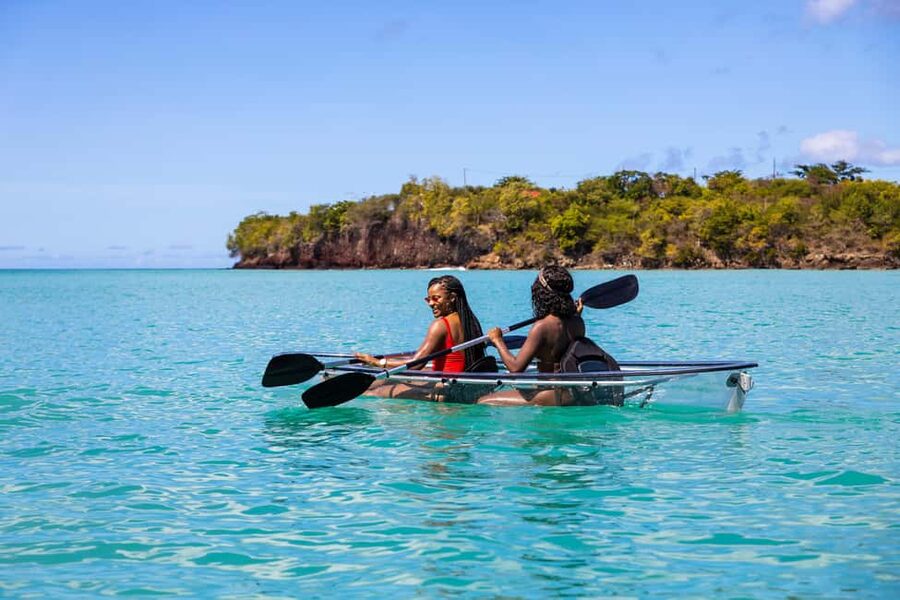 Grenada: Clear Kayak Tour with Drone Photoshoot - The Coral Species Breakdown: Why the Guide’s Words Matter