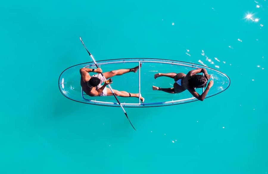 Grenada: Clear Kayak Tour with Drone Photoshoot - Wildlife You Can Actually Expect (and What Might Be Hit-or-Miss)