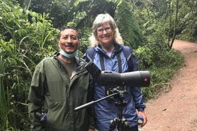 Guided Birding Photography Experience - Where the magic happens: platforms over ravines and forest walks