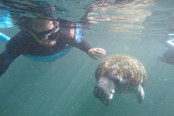 Guided Small Group Manatee Snorkeling Tour with In-Water Photographer - Crystal River Manatees: Why This Tour Feels More Personal