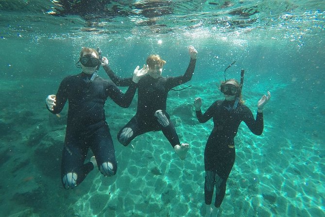 Guided Small Group Manatee Snorkeling Tour with In-Water Photographer - Check-In at 226 NE 5th St: Gear Up the Easy Way