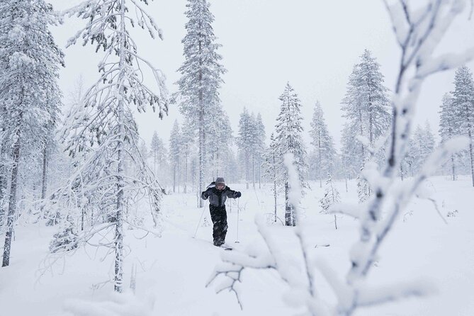 Half-Day Backcountry Skiing Tour in Levi with Photography Guide - Backcountry skiing in Levi: why it feels different