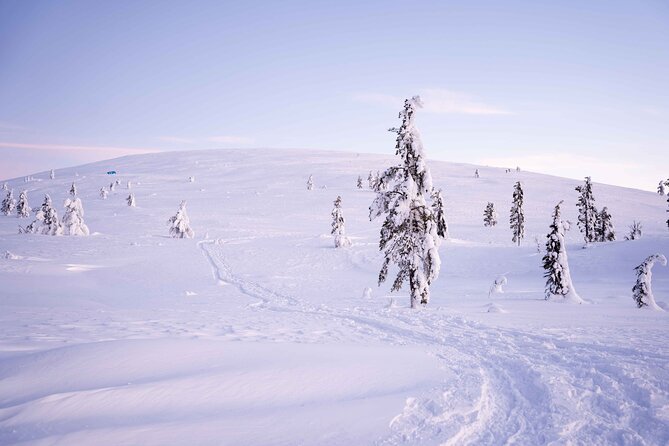 Half-Day Backcountry Skiing Tour in Levi with Photography Guide - Photo stops that don’t ruin the skiing