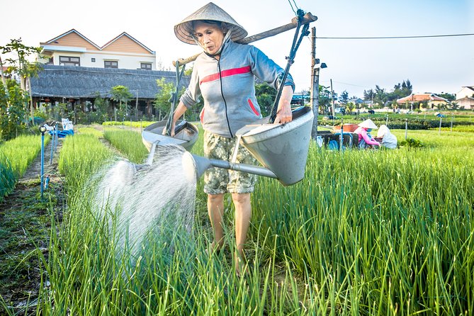 Half-day Hoi An Sunrise Or Sunset Photo Tour - Key things that make this tour worth considering