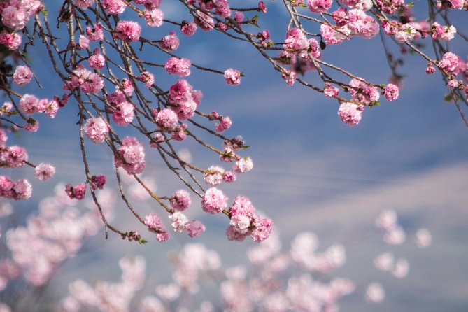 Half Day Queenstown & Beyond Private Scenic Photography Tour - Arrowtown, Crown Range, Gibbston, and the gold-mining story