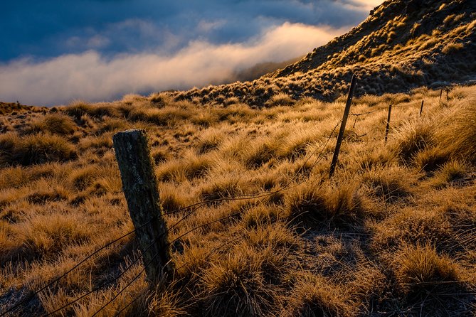 Half-Day Queenstown Photography Tour - Who Should Book This Queenstown Photography Tour