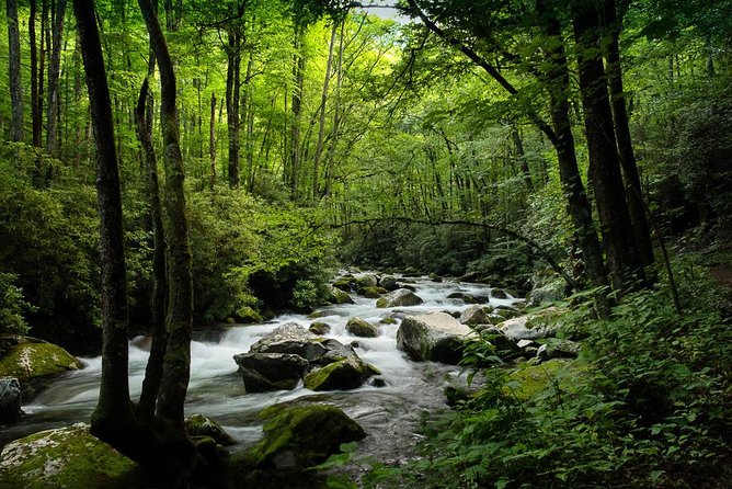 Half-Day Tour With Instruction in Vistas & Waterfall Photography - The hands-on part: what instruction looks like in real life