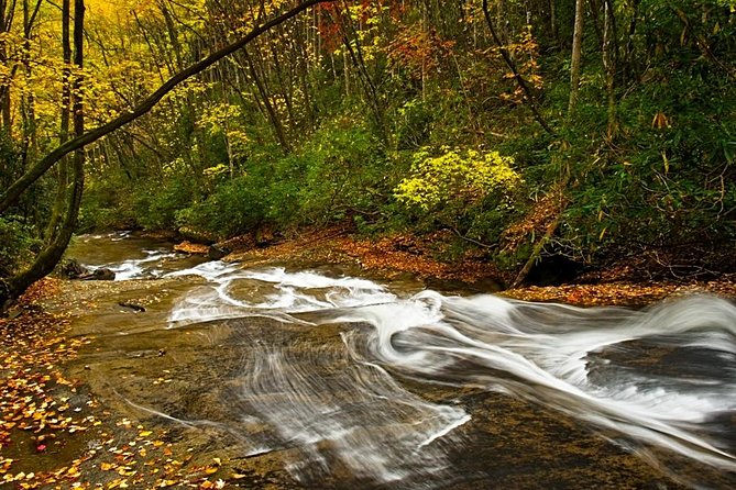 Half-Day Tour With Instruction in Vistas & Waterfall Photography - Tripods and gear: what to bring (and what you can skip)