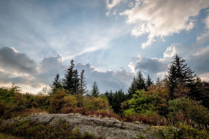 Half-Day Tour With Instruction in Vistas & Waterfall Photography - Price and value: what $150 buys in a small-group class