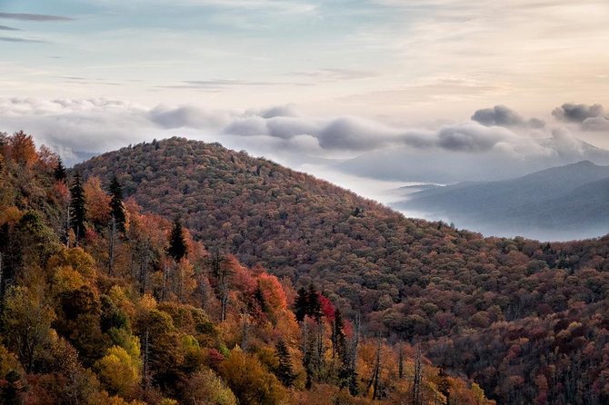 Half-Day Tour With Instruction in Vistas & Waterfall Photography - Who this tour suits best (and who might want something else)
