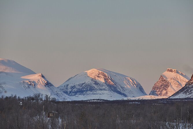 Half day Wildlife and Nature Photography - How the guide chooses stops: weather, Sami seasons, and real-life flexibility