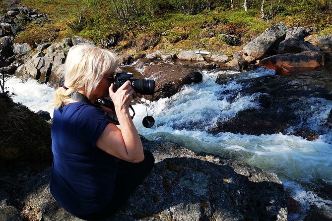 Half day Wildlife and Nature Photography - Your camera setup: coaching with a telelens you actually use