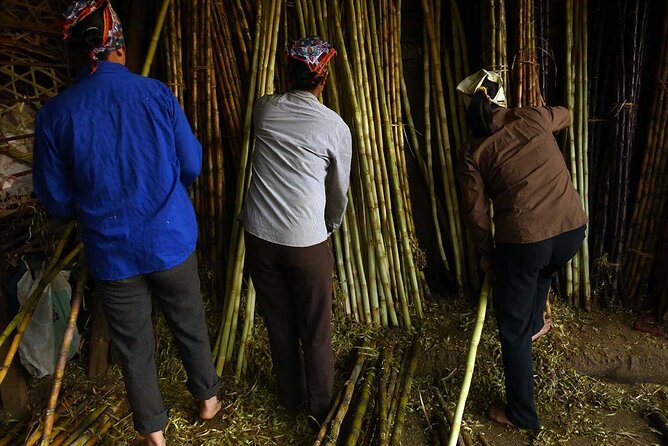 Hanoi Explorer Photo Tour - Weather, Timing Flexibility, and the Real Morning Reality