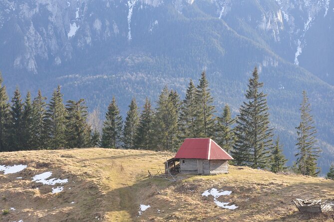 Hike in the Wild Private Photo Tour - Morning pickup in Brasov: getting set up for a mountain day