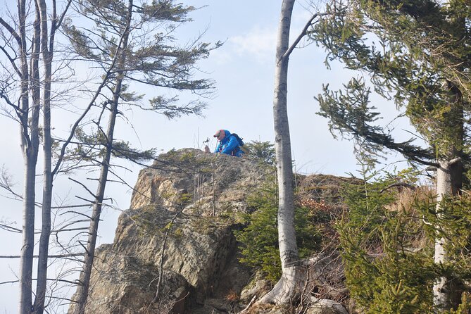 Hike in the Wild Private Photo Tour - Stop focus: Carpathian panoramas and the photo viewpoint payoff