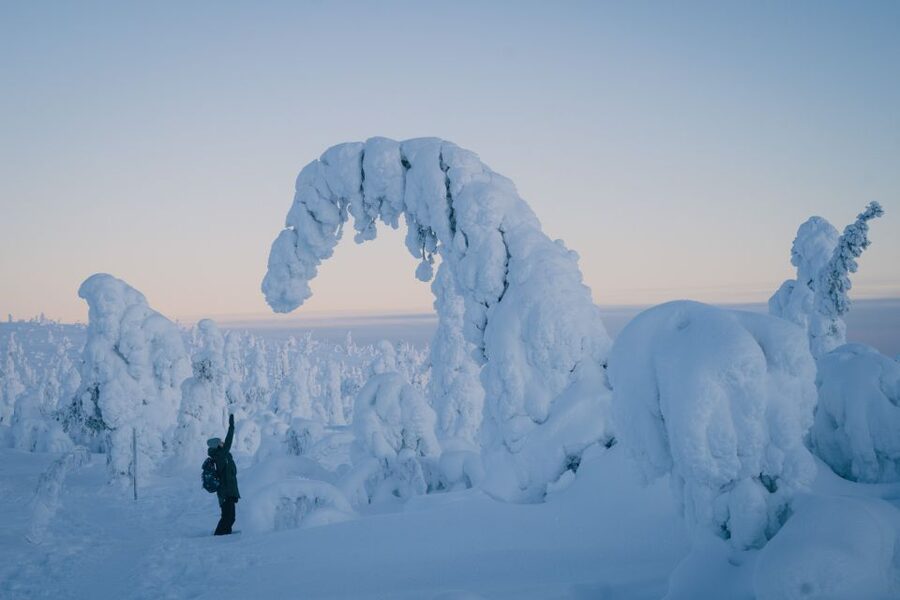 Hiking in Riisitunturi National Park with Photographer - From Rovaniemi to Riisitunturi: the van ride setup matters