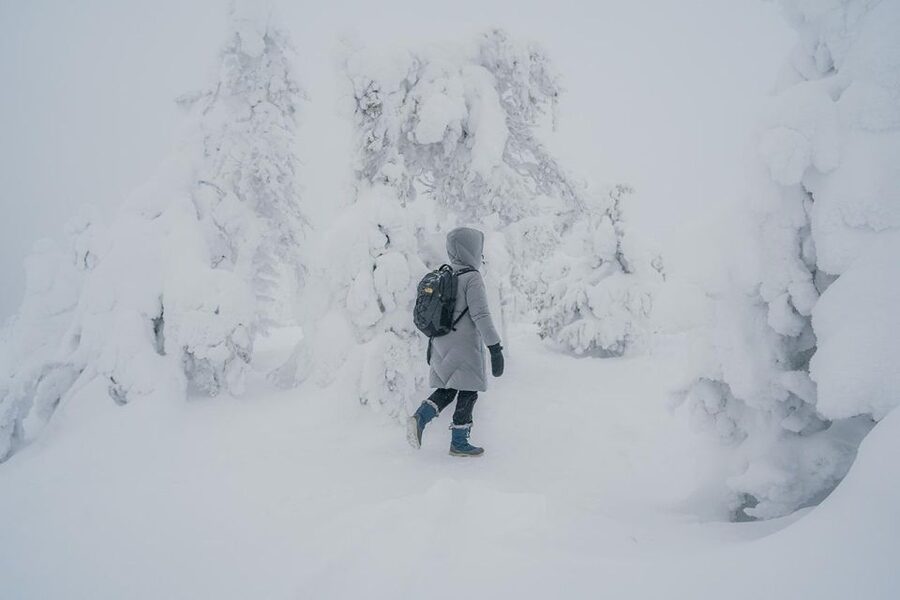 Hiking in Riisitunturi National Park with Photographer - What you’ll do inside Riisitunturi National Park