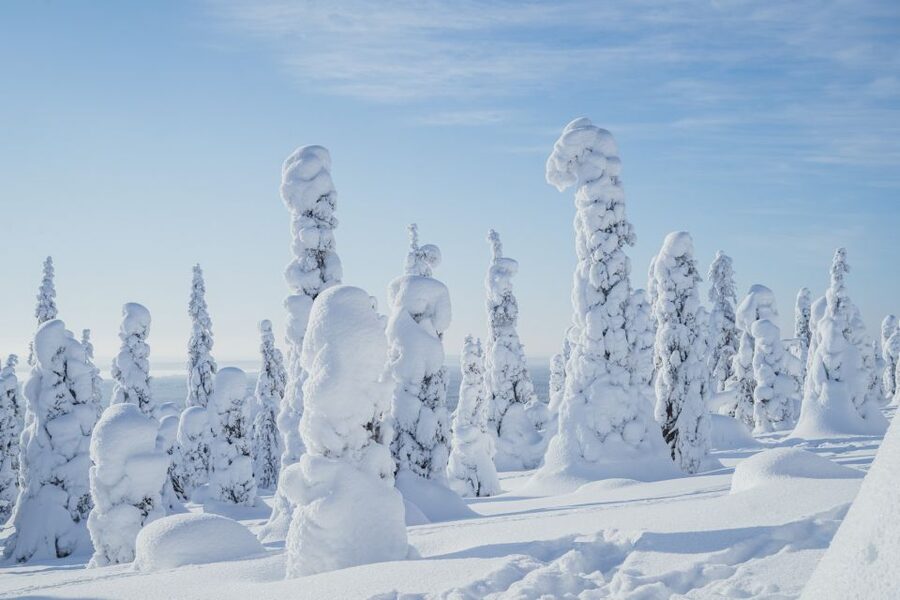 Hiking in Riisitunturi National Park with Photographer - The 8-hour day rhythm: photo stops, then a 5km winter hike