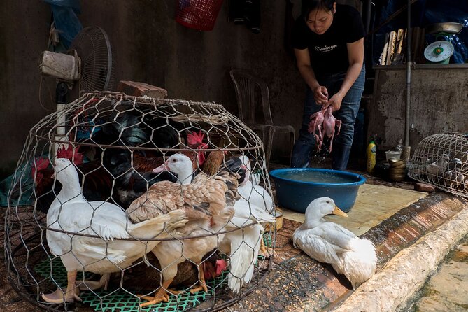 Into the Thieves Market Hanoi Photo Tour - Why the Thieves Market feels different from a normal Hanoi walk