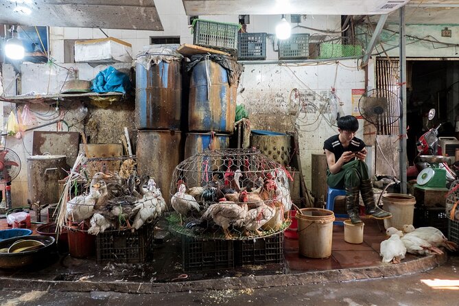 Into the Thieves Market Hanoi Photo Tour - Getting portrait shots: talking to traders without killing the moment