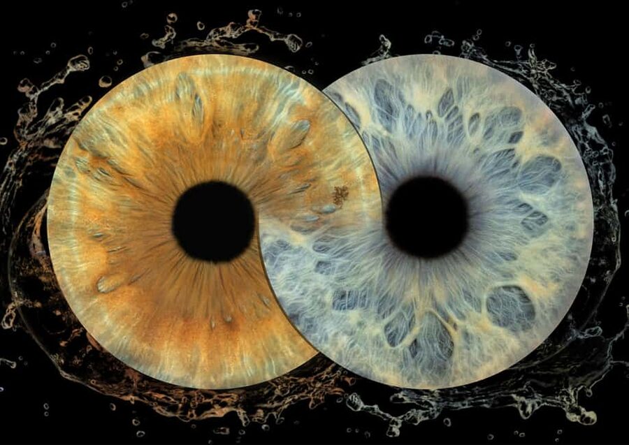 IRIS Photography (macro photo of your eye) - Key highlights of Iris Photography in Split