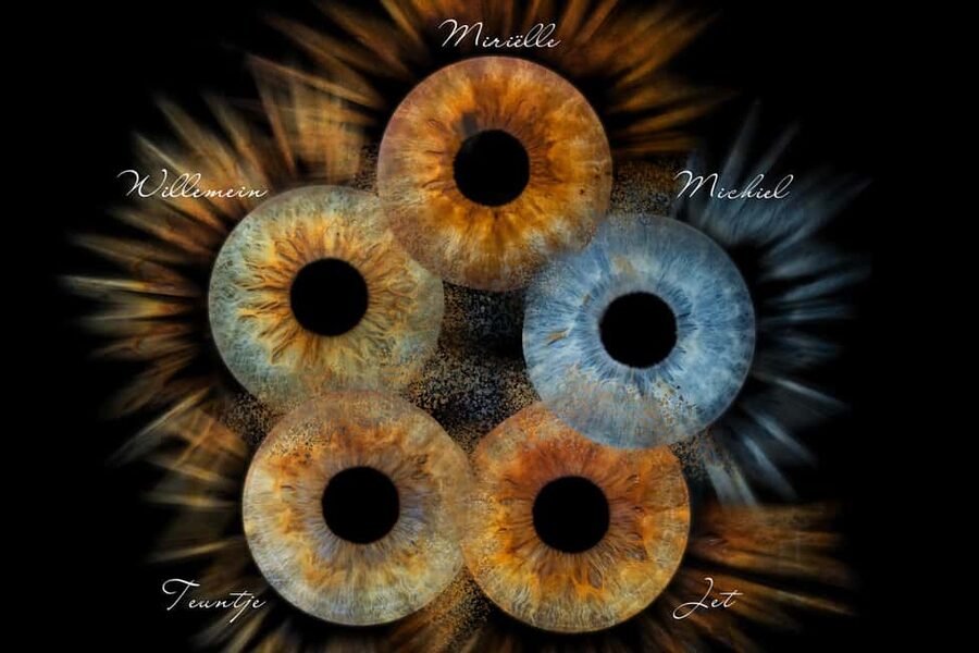 IRIS Photography (macro photo of your eye) - Inside Split Photo Agency: what the 10 minutes feel like