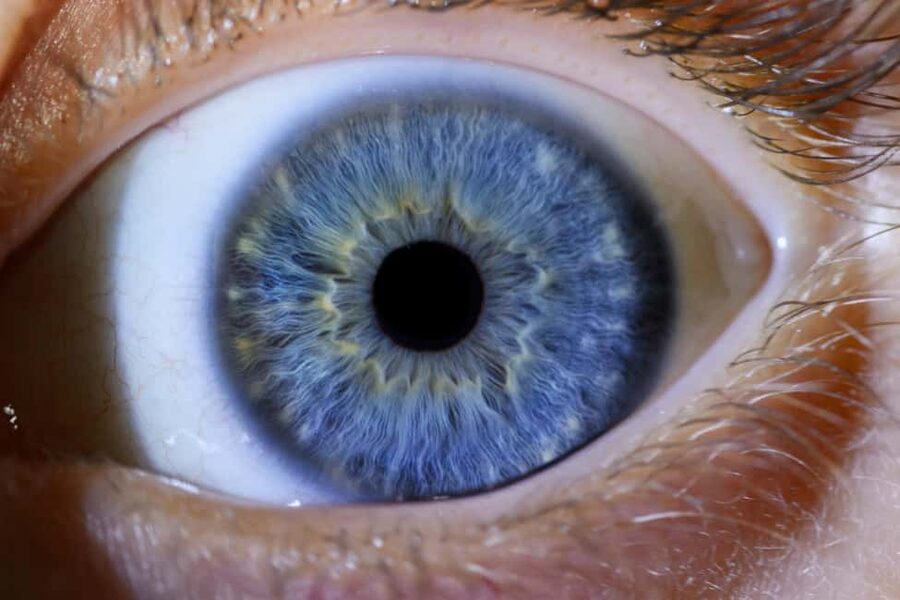 IRIS Photography (macro photo of your eye) - The add-ons that cost extra: frames and jewelry