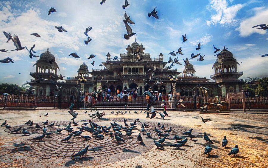 Jaipur: Private Tour for Instagram and Photography Lovers - A one-day photo circuit through Jaipur’s main icons