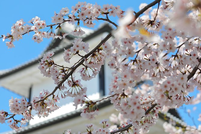 Kanazawa private half day/Photoshoot by professional photographer - Kazuemachi Chayagai: traditional vibes with less crowd stress