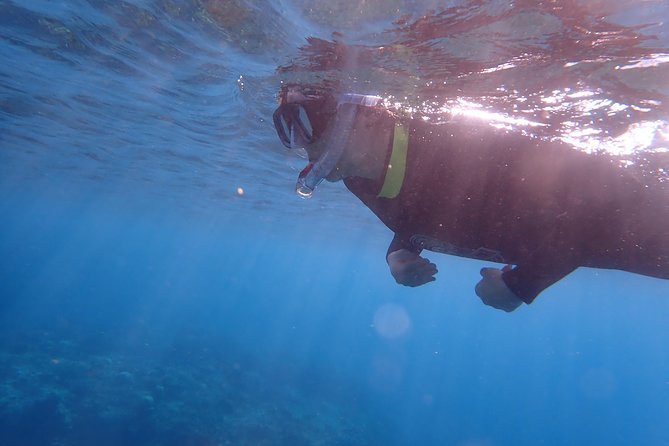 Kenting, Taiwan｜Snorkeling Free underwater photography One-on-one with instructor｜Taiwan Diving Snorkeling - Underwater photography without the usual frustration