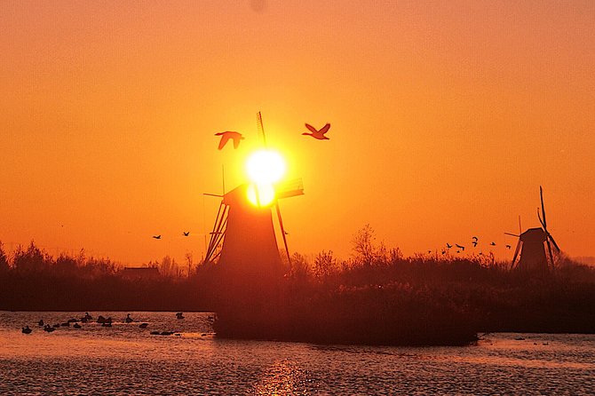 Kinderdijk Photography tour - The walking photo route: geese, reeds, and changing water levels