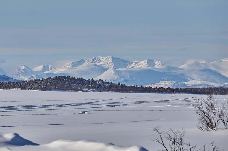 Kiruna: Wildlife and nature photography - FAQ